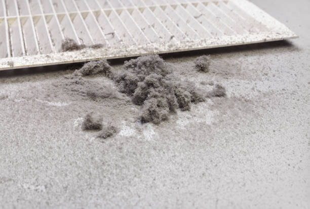 Best Air Duct Cleaning Near Me  in Clarion, IA