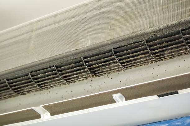 Best Air Duct Cleaning Near Me in Clarion, IA